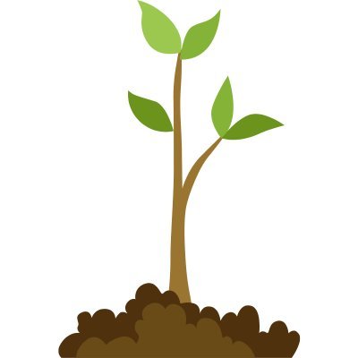 Sprouting plant